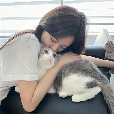 静静的白桦林